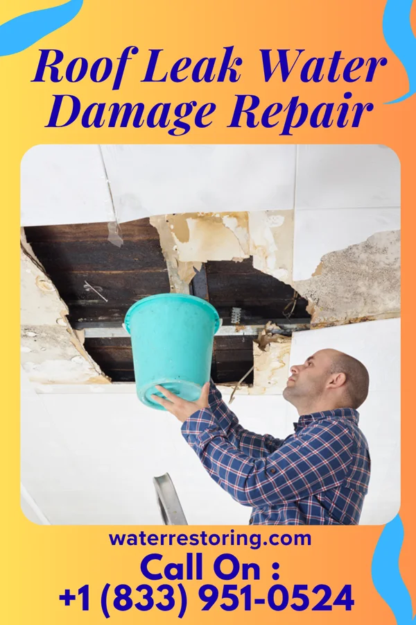 Roof Leak Water Damage Repair in Dunn Center, ND